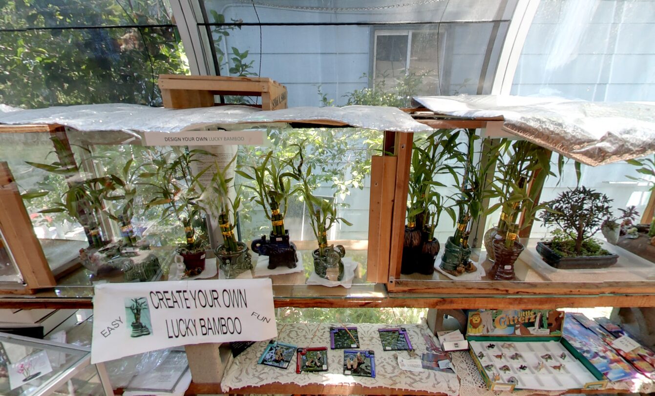 A glass display case with a lot of plants in it.